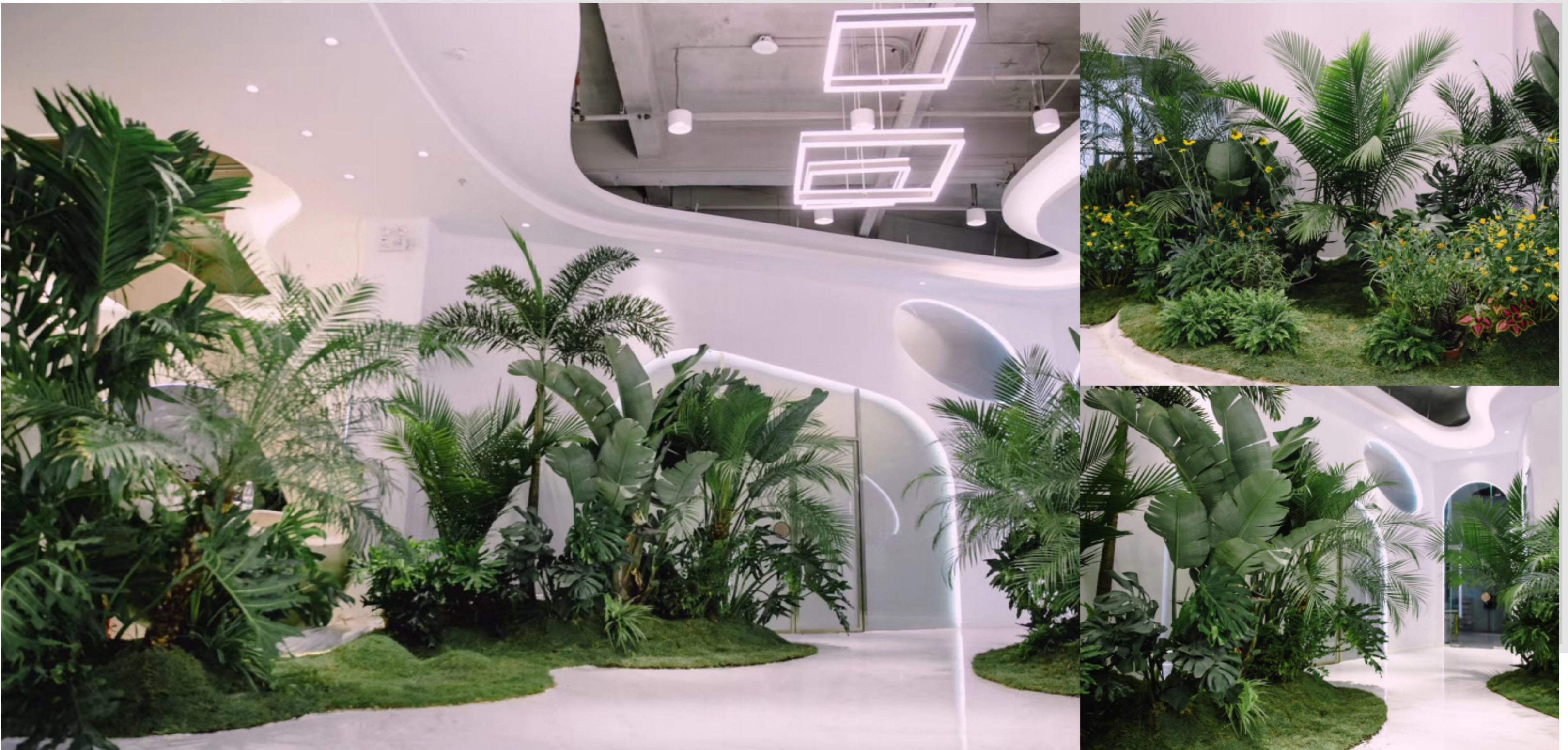 Guangzhou Culture Spreads